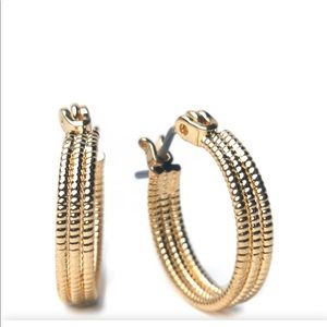 Kim rogers gold hoops